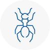 Ant Removals In Holyhead