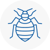Bed Bug Extermination In Holyhead