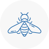 Bee Nest Removal Holyhead